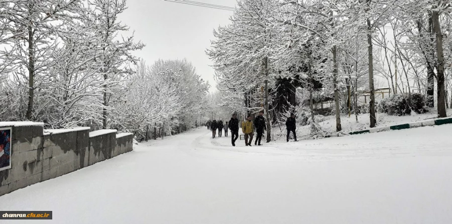 چشم انداز زمستان در پردیس شهید چمران 2