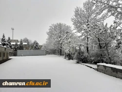 چشم انداز زمستان در پردیس شهید چمران 3