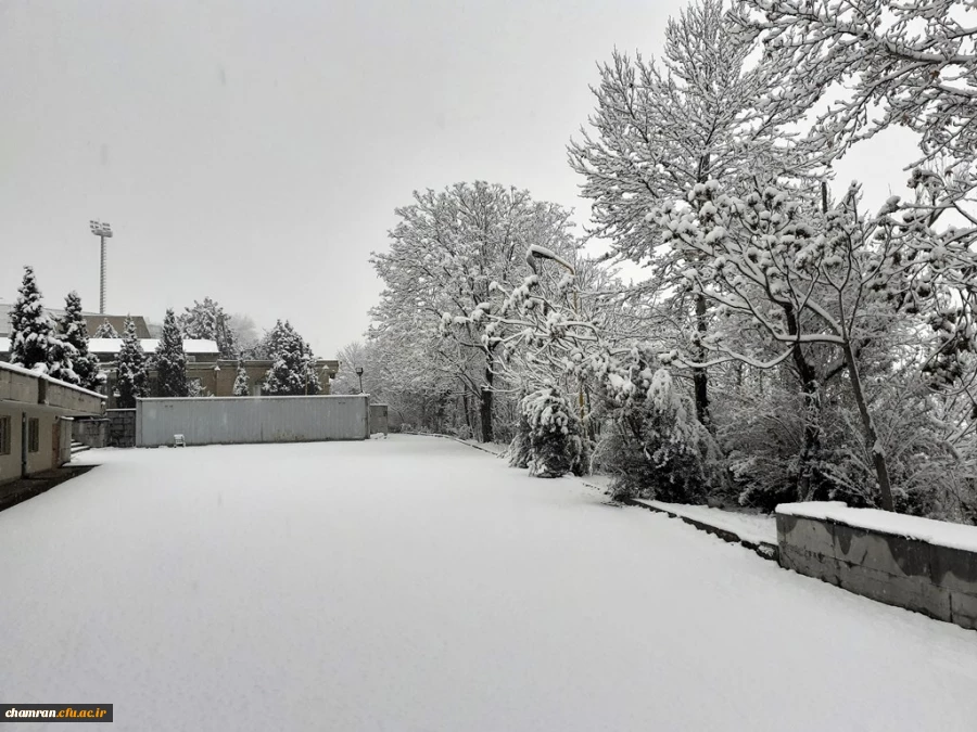 چشم انداز زمستان در پردیس شهید چمران 3