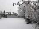 چشم انداز زمستان در پردیس شهید چمران 4