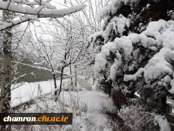 چشم انداز زمستان در پردیس شهید چمران 5