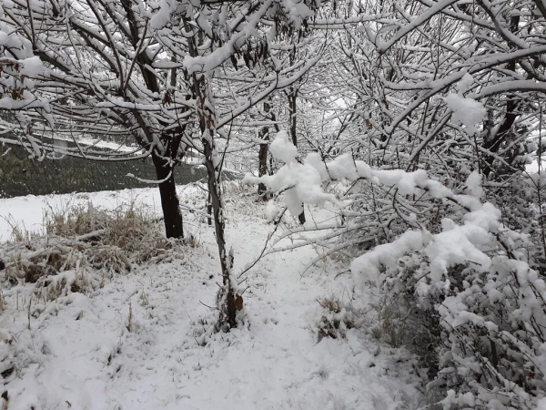 چشم انداز زمستان در پردیس شهید چمران 7