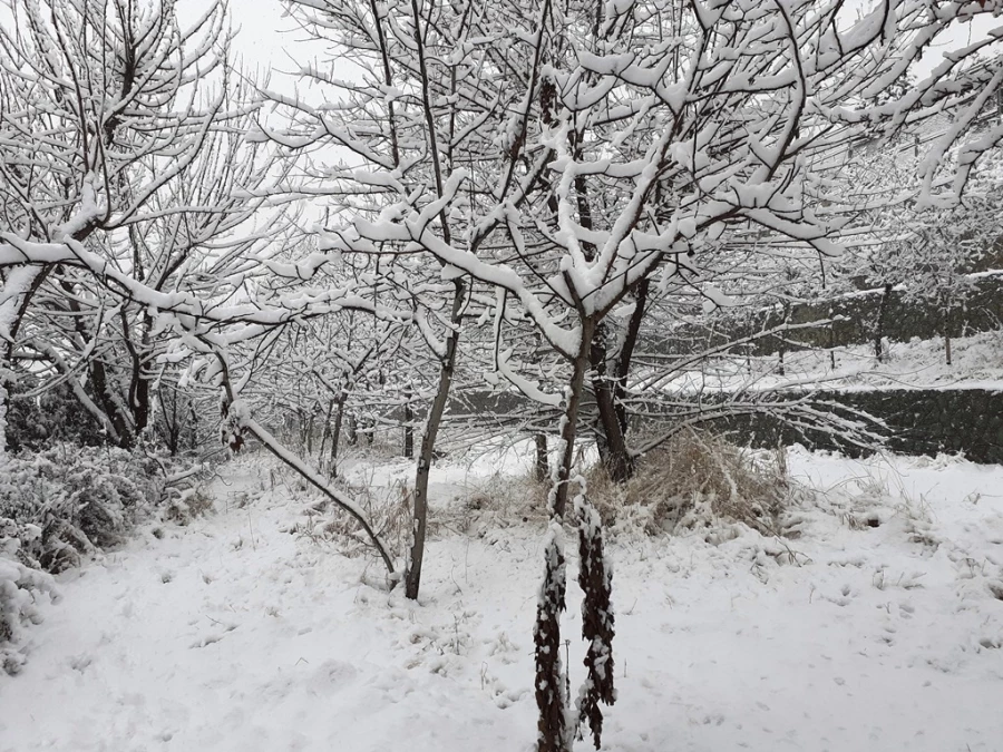چشم انداز زمستان در پردیس شهید چمران 10