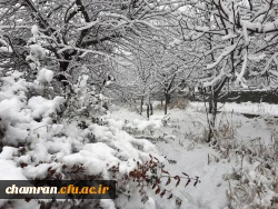 چشم انداز زمستان در پردیس شهید چمران 12