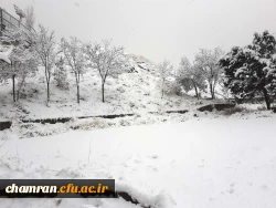 چشم انداز زمستان در پردیس شهید چمران 13