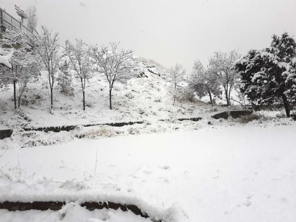 چشم انداز زمستان در پردیس شهید چمران 13