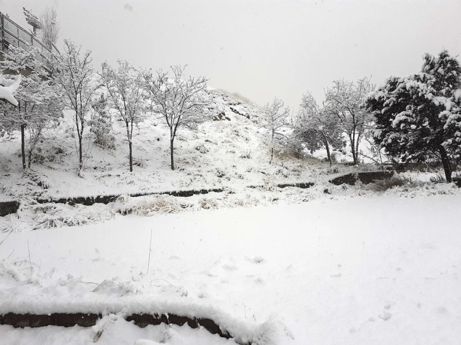 چشم انداز زمستان در پردیس شهید چمران 13