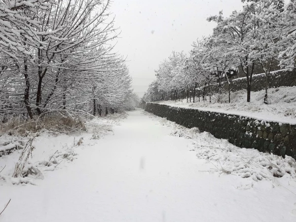 چشم انداز زمستان در پردیس شهید چمران 14