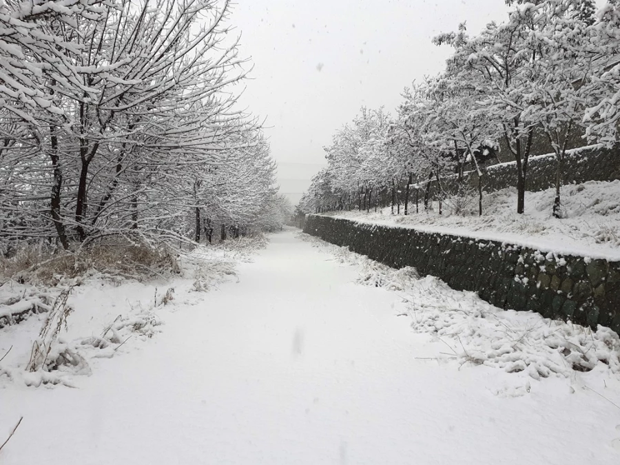چشم انداز زمستان در پردیس شهید چمران 14