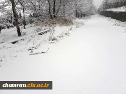 چشم انداز زمستان در پردیس شهید چمران 15