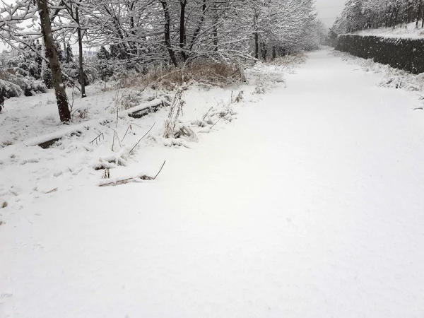 چشم انداز زمستان در پردیس شهید چمران 15