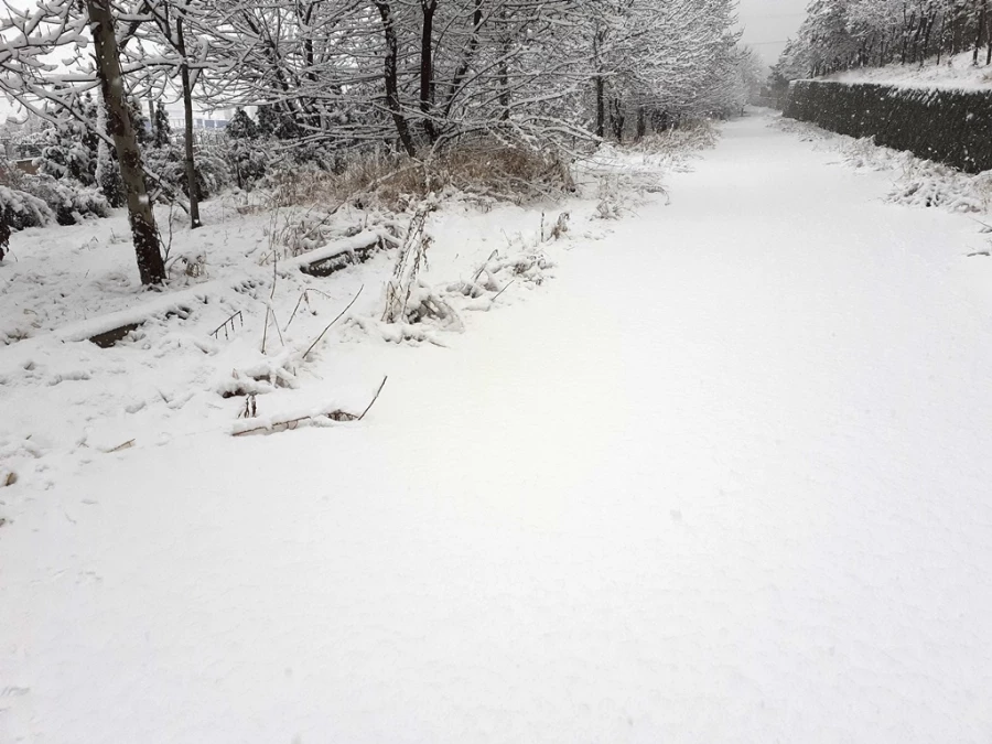 چشم انداز زمستان در پردیس شهید چمران 15