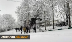 چشم انداز زمستان در پردیس شهید چمران 16