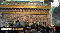 اردوی زیارتی دانشجویان پردیس شهید چمران به مشهد مقدس
 8
