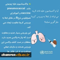 پاسخ سازمان جهانی بهداشت به برخی باورها درباره ویروس کرونا 8