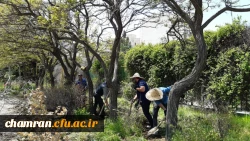 بهسازی فضای سبز پردیس شهید چمران 2