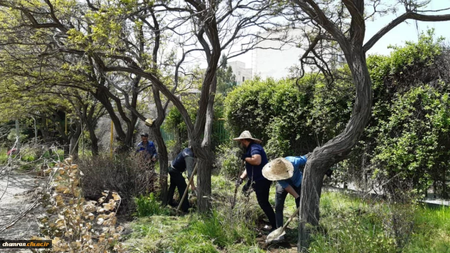 بهسازی فضای سبز پردیس شهید چمران 2
