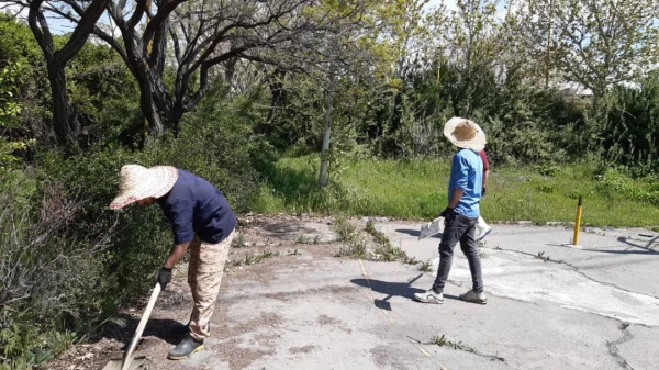 بهسازی فضای سبز پردیس شهید چمران 3