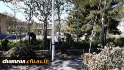 بهسازی فضای سبز پردیس شهید چمران 5