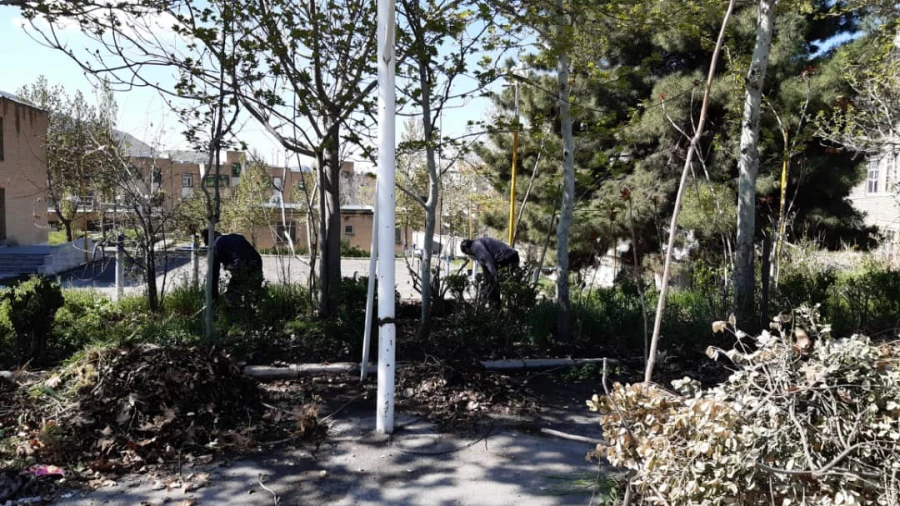 بهسازی فضای سبز پردیس شهید چمران 5