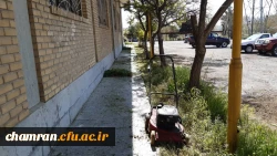 بهسازی فضای سبز پردیس شهید چمران 6