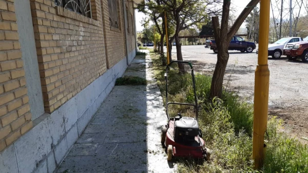 بهسازی فضای سبز پردیس شهید چمران 6