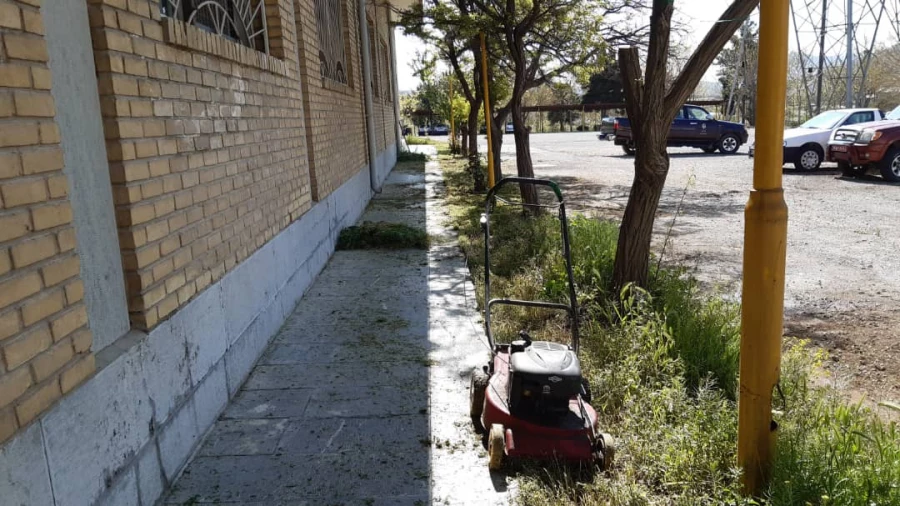 بهسازی فضای سبز پردیس شهید چمران 6