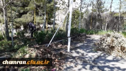 بهسازی فضای سبز پردیس شهید چمران 7