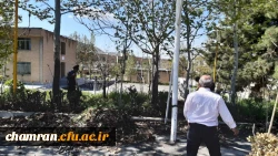 بهسازی فضای سبز پردیس شهید چمران 8