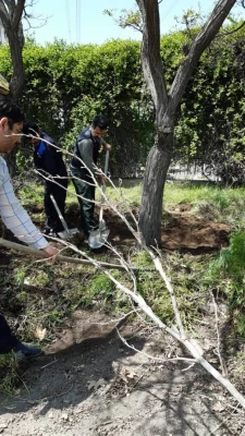بهسازی فضای سبز پردیس شهید چمران 11