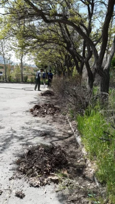 بهسازی فضای سبز پردیس شهید چمران 12