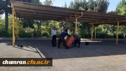 انجام پروژه آسفالت ریزی در پردیس شهید چمران 13