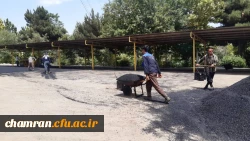 انجام پروژه آسفالت ریزی در پردیس شهید چمران 23