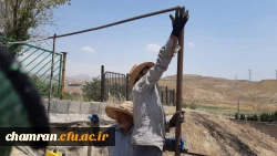 ترمیم موقت حصارهای ضلع شمالی پردیس شهید چمران 4