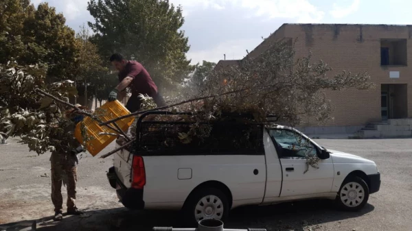 هرس درختان و زیباسازی فضای سبز پردیس شهید چمران 3
