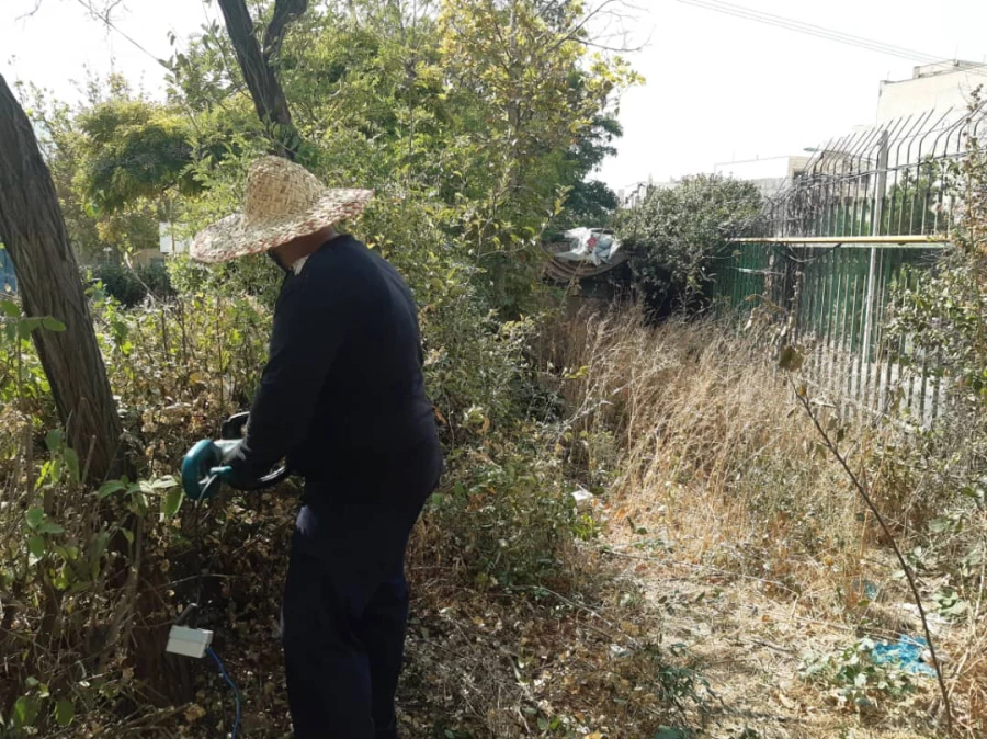 هرس درختان و زیباسازی فضای سبز پردیس شهید چمران 6