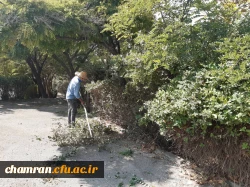 هرس درختان و زیباسازی فضای سبز پردیس شهید چمران 7