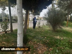 هرس درختان و زیباسازی فضای سبز پردیس شهید چمران 10
