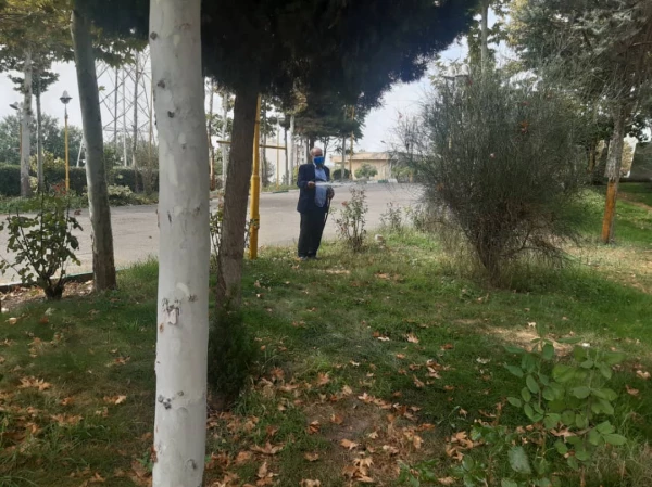 هرس درختان و زیباسازی فضای سبز پردیس شهید چمران 10