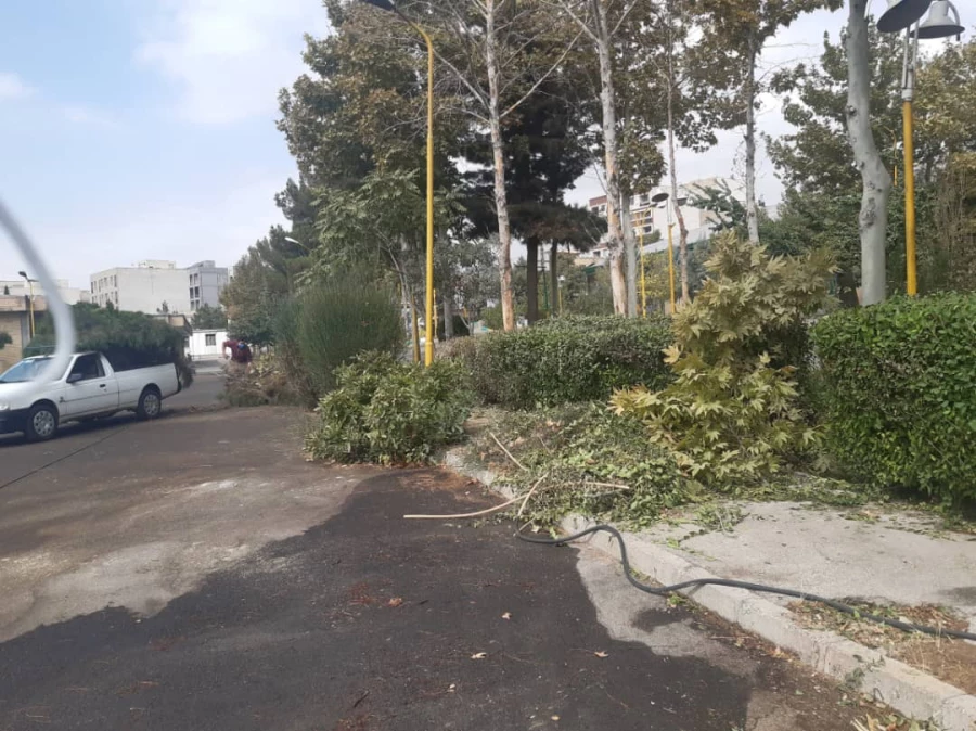 هرس درختان و زیباسازی فضای سبز پردیس شهید چمران 11