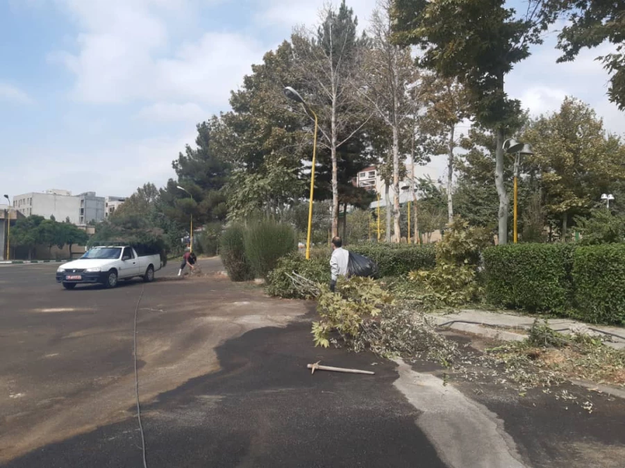 هرس درختان و زیباسازی فضای سبز پردیس شهید چمران 13