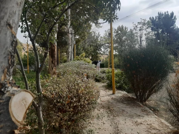 هرس درختان و زیباسازی فضای سبز پردیس شهید چمران 14