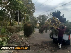 هرس درختان و زیباسازی فضای سبز پردیس شهید چمران 15