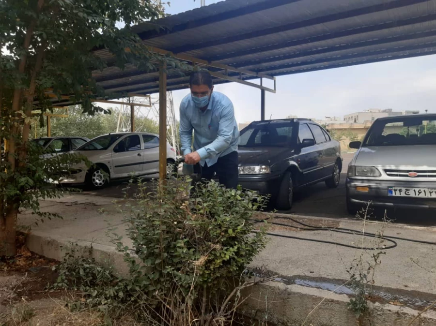 هرس درختان و زیباسازی فضای سبز پردیس شهید چمران 18