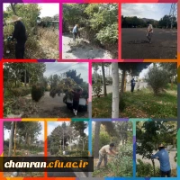 هرس درختان و زیباسازی فضای سبز پردیس شهید چمران 19