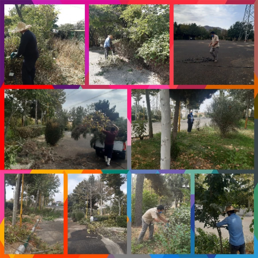 هرس درختان و زیباسازی فضای سبز پردیس شهید چمران 19