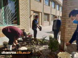 کاشت گل و زیباسازی محوطه پردیس شهید چمران 4