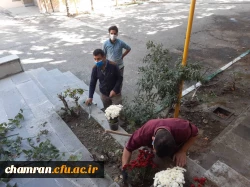 کاشت گل و زیباسازی محوطه پردیس شهید چمران 5
