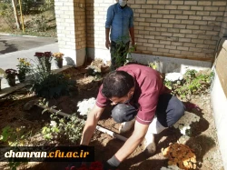 کاشت گل و زیباسازی محوطه پردیس شهید چمران 6
