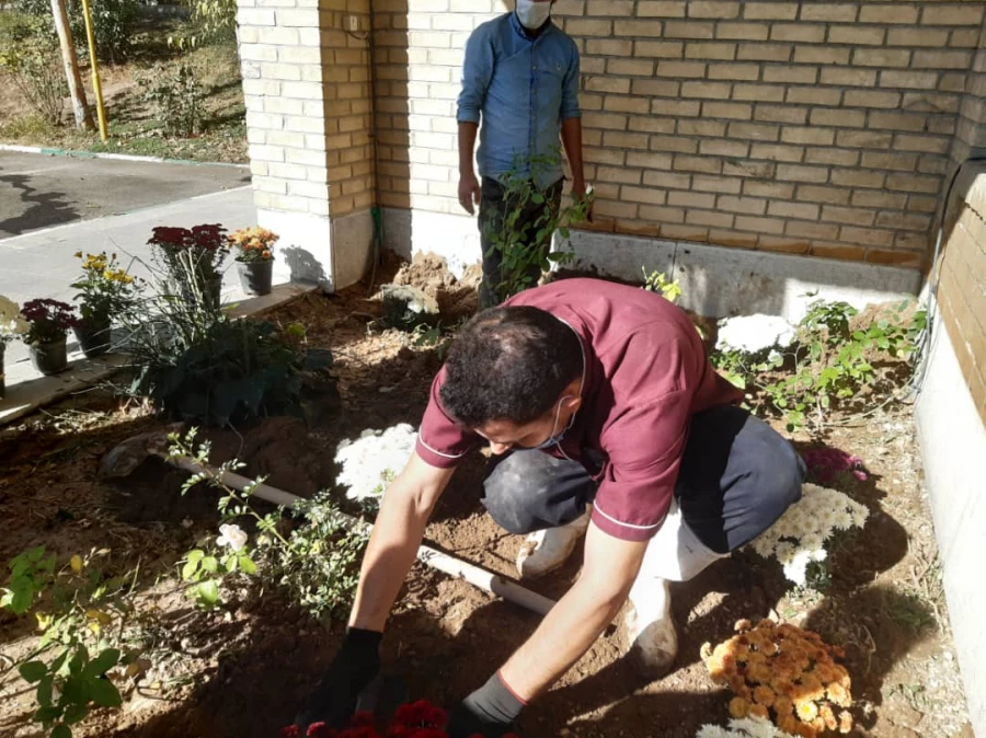 کاشت گل و زیباسازی محوطه پردیس شهید چمران 6